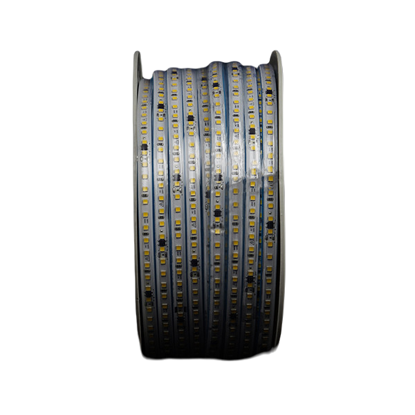 نشرة ضوئية بروفايل